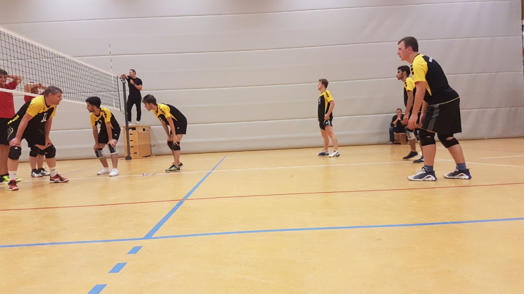 VfL Westercelle Herren Bild 1