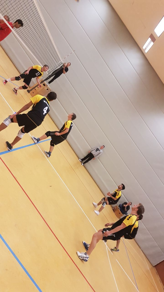 VfL Westercelle Herren Bild 5